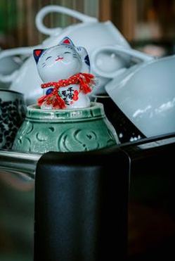 Thế giới người chơi